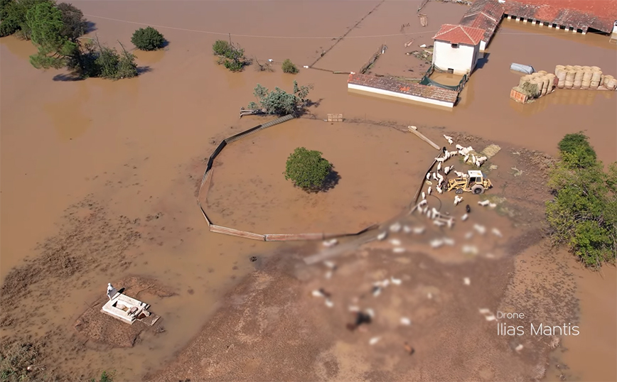 Νεκροταφείο ζώων ο κάμπος της Θεσσαλίας &#8211; Συγκλονιστικό βίντεο από drone