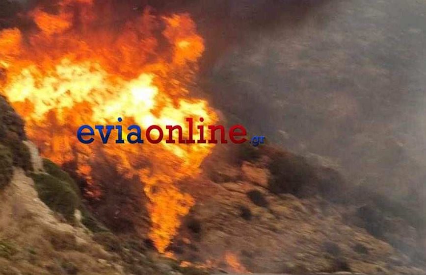 Φωτιά στην Κάρυστο: Ανεξέλεγκτα μαίνεται η πυρκαγιά &#8211; Μάχη για να μην επεκταθεί σε κατοικημένες περιοχές