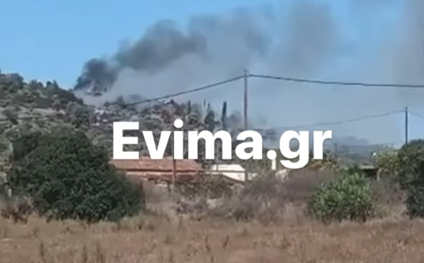 Συνελήφθη άνδρας για φωτιά στο χωριό Δάφνη Αυλωναρίου Ευβοίας &#8211; Κλάδεψε δέντρα και τους έβαλε φωτιά