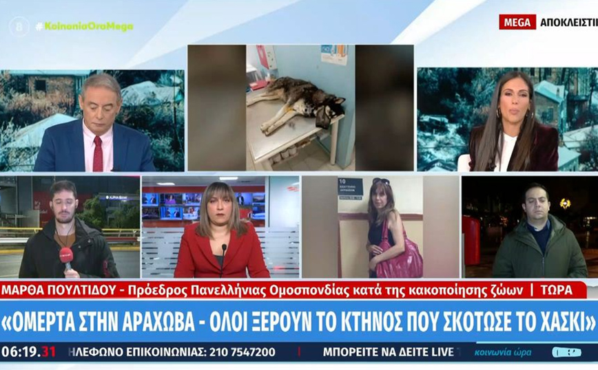 Το ξέσπασμα της Ανθής Βούλγαρη on air: Εγώ στην Αράχωβα δεν θα ξαναπατήσω το πόδι μου μέχρι να ανοίξουν τα στόματα