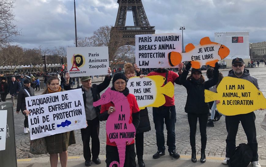 Διαμαρτυρία από μέλη φιλοζωικών οργανώσεων έξω από το Ενυδρείο του Παρισιού για το ρεβεγιόν που οργανώνει
