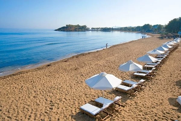 Αιγιαλός-παραλία: 10 ερωτήσεις -απαντήσεις για τους νέους κανόνες &#8211; Τι ισχύει για τους διαγωνισμούς