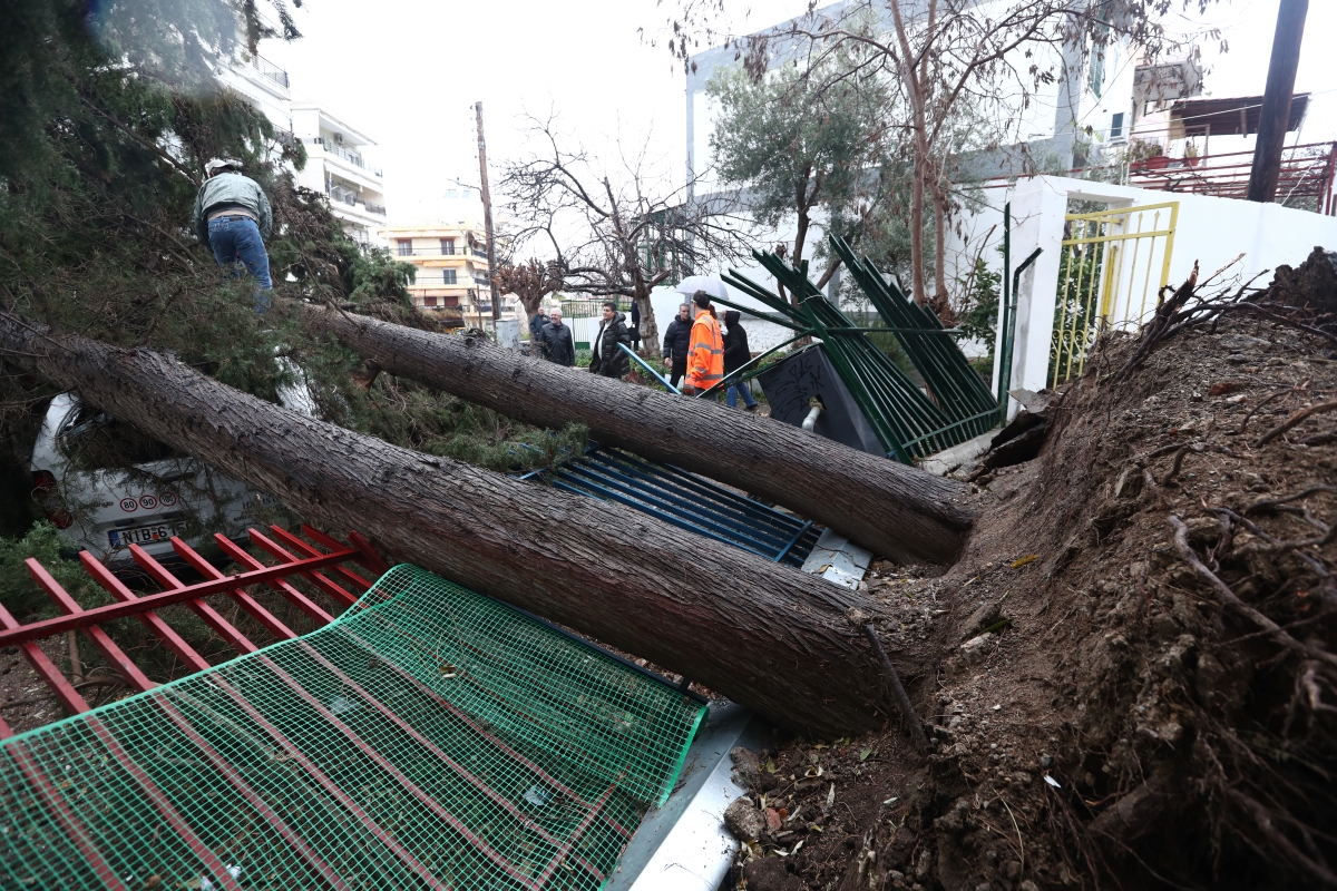 Ποια σχολεία δεν θα ανοίξουν τη Δευτέρα στη Θεσσαλονίκη λόγω πτώσης δέντρων