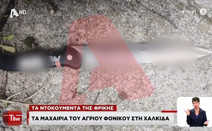 Με αυτά τα μαχαίρια δολοφόνησε η 39χρονη τον ξυλουργό στη Χαλκίδα: «Έγινε σφαγή, παντού υπήρχαν αίματα»