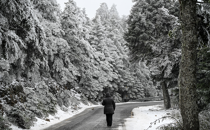 Καιρός: Έρχεται παν-τουρκικός χιονιάς από την Κυριακή – Ποιες περιοχές «θα ντυθούν στα λευκά»