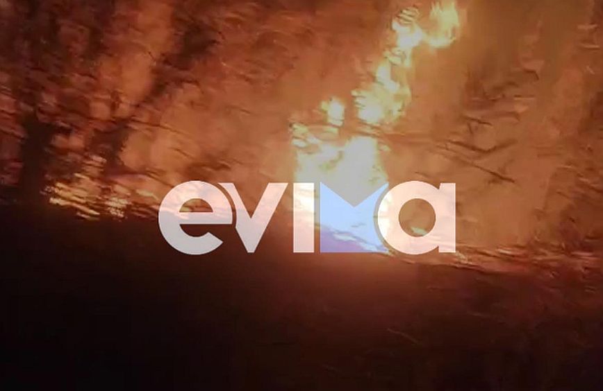 Νέα φωτιά στην Εύβοια στην Κάμπο των Ωρεών  &#8211; Ισχυρές πυροσβεστικές δυνάμεις στην περιοχή
