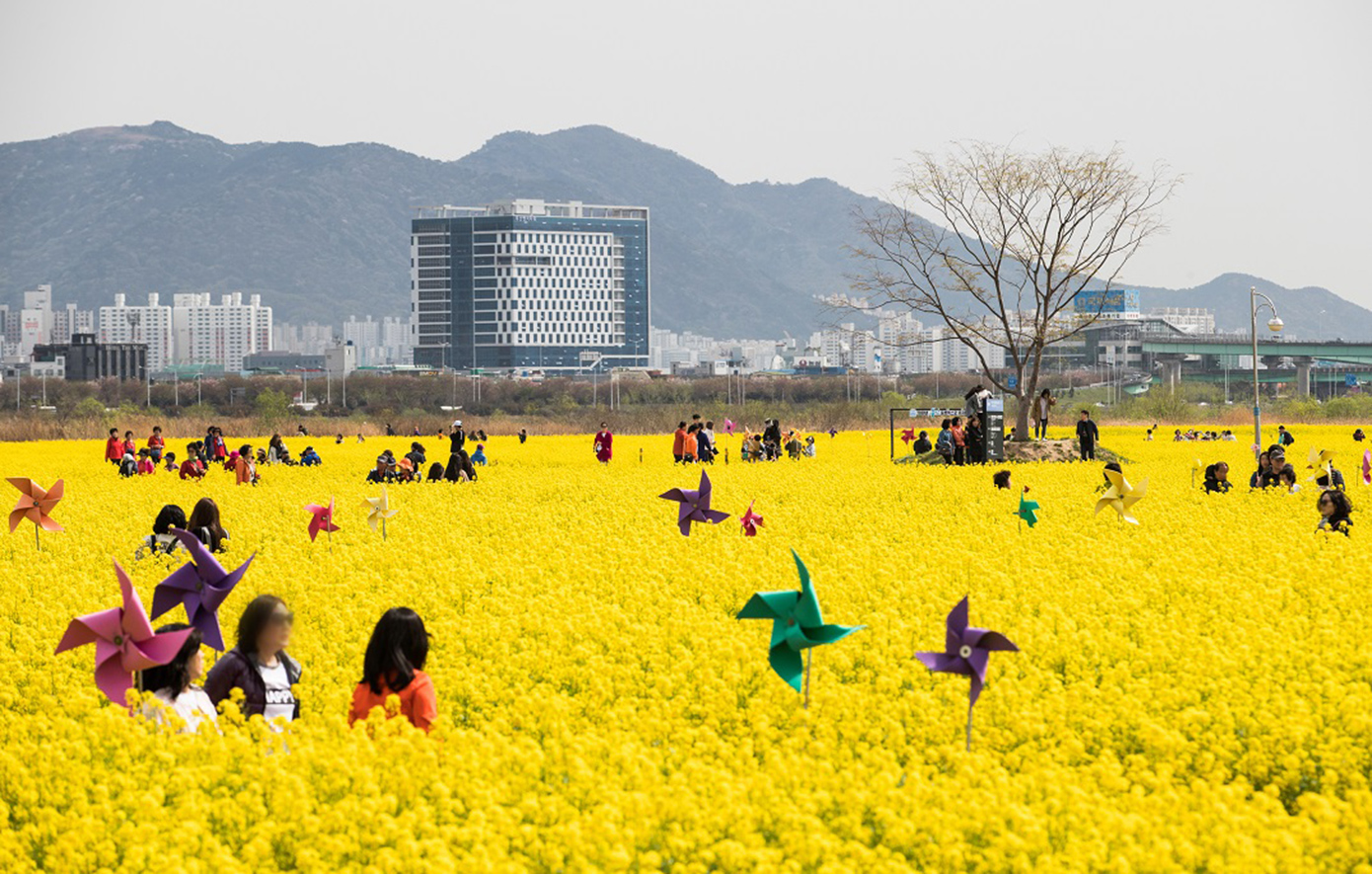 Τα θεαματικά φεστιβάλ λουλουδιών και οι πολιτιστικοί θησαυροί της Κορέας προσκαλούν τους Έλληνες λάτρεις των ταξιδιών