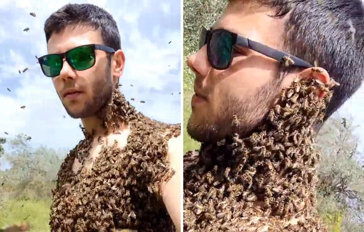 Ορεινή Μέλισσα: Ο viral μελισσοκόμος του TikTok εξηγεί γιατί οι μέλισσες έχουν beef με τις σφήκες