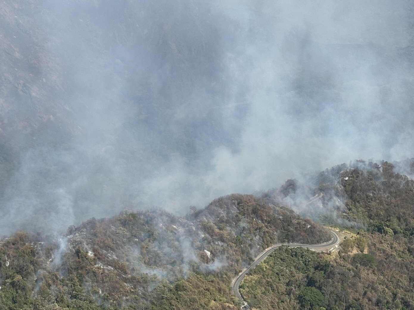 Δώδεκα συλλήψεις στη Βενεζουέλα για τις καταστροφικές δασικές πυρκαγιές