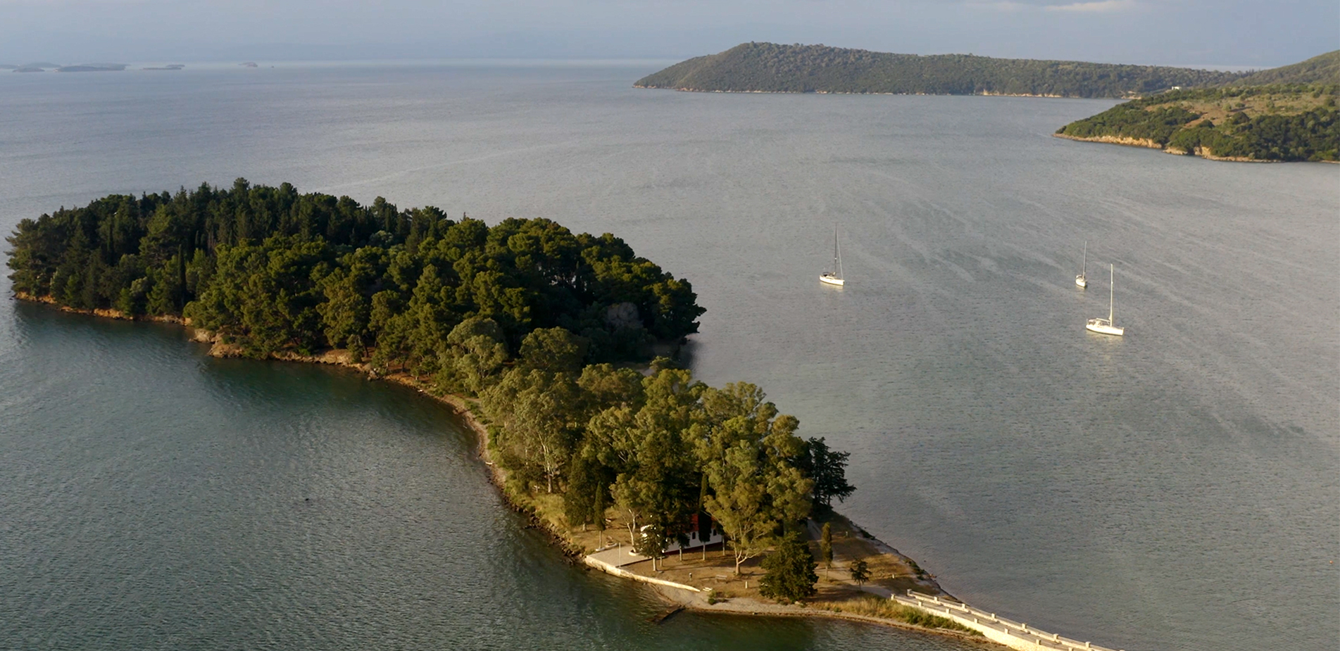 Αποκαθιστώντας τα θαλάσσια λιβάδια zostera: Η συνεργασία Nestlé Ελλάς και Εναλεία