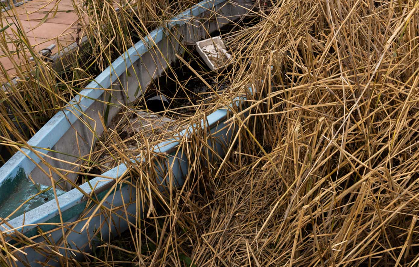 Επιστήμονες προειδοποιούν ότι η Μικρή Πρέσπα συρρικνώνεται, κινδυνεύουν και οι πελεκάνοι Επιστήμονες προειδοποιούν ότι η Μικρή Πρέσπα συρρικνώνεται, κινδυνεύουν και οι πελεκάνοι