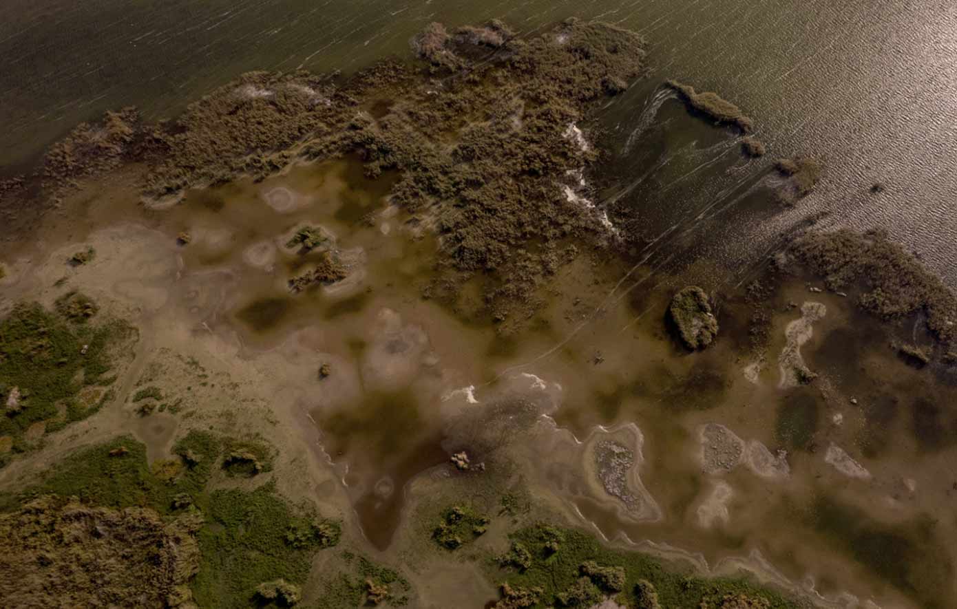 Επιστήμονες προειδοποιούν ότι η Μικρή Πρέσπα συρρικνώνεται, κινδυνεύουν και οι πελεκάνοι Επιστήμονες προειδοποιούν ότι η Μικρή Πρέσπα συρρικνώνεται, κινδυνεύουν και οι πελεκάνοι