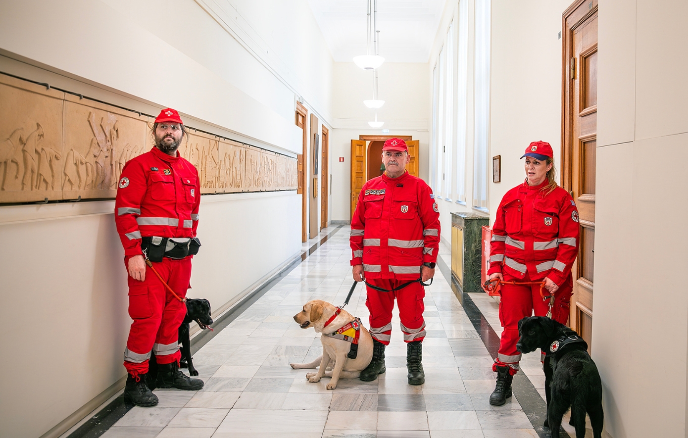 Ελληνικός ερυθρός Σταυρός