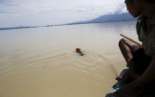 A dog swims in a flooded village at Kalay township at Sagaing division, August 2, 2015. Storms and floods have so far killed 21 people, with water levels as high as 2.5 metres in Sagaing and 4.5 metres in western Rakhine state, according to the government, which on Friday declared four regions disaster zones. REUTERS/Soe Zeya Tun