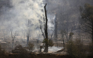 Smoke rises from charred trees are seen along Highway 20 during the Rocky Fire near Lower Lake, California