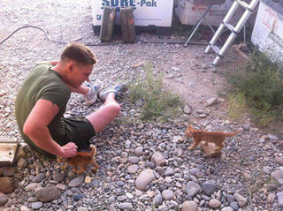 soldiers_and_cats_02