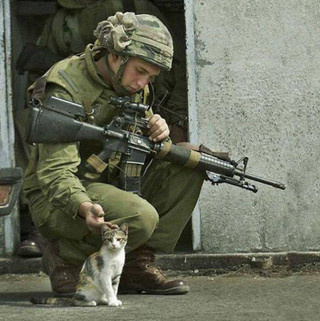 soldiers_and_cats_04