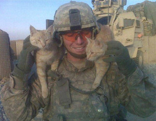 soldiers_and_cats_09