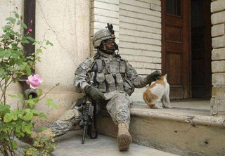soldiers_and_cats_13