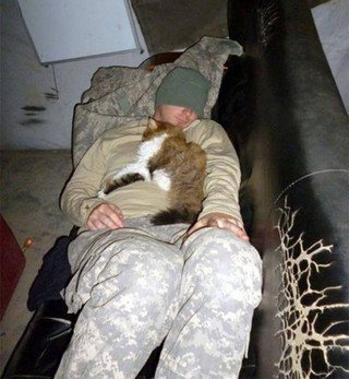 soldiers_and_cats_15