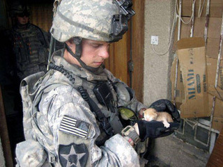 soldiers_and_cats_17