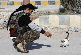 soldiers_and_cats_31