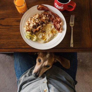 a-guy-documents-his-dogs-extremely-satisfying-life-20-photos-11