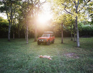 a-guy-documents-his-dogs-extremely-satisfying-life-20-photos-8