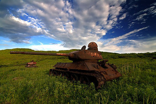 tanks_taken_nature_16
