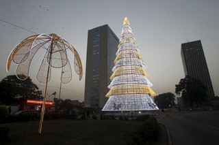 tree8 tree8