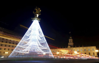 tree9 tree9