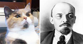 celebs_similar_animal_doppelgangers_16