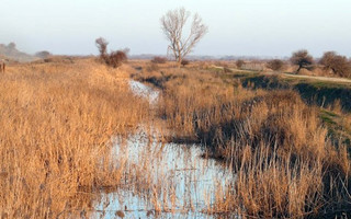 evros6