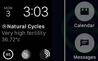 FERTILITY-APP3