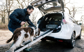 Nissan_X_Trail_4Dogs3