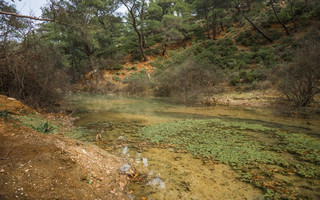 ΡΟΔΟΣ ΕΠΤΑ ΠΗΓΕΣ