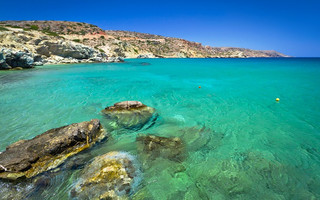 ΦΟΙΝΙΚΟΔΑΣΟΣ ΒΑΙ ΚΡΗΤΗ