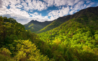 Great Smoky Mountains ΗΠΑ