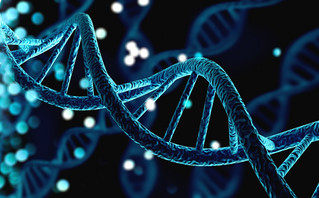 Η έλικα του DNA