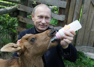Ο Πούτιν ταΐζει ένα ζώο