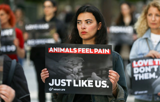 Συγκέντρωση διαμαρτυρίας για τη μαζική σφαγή ζώων το Πάσχα