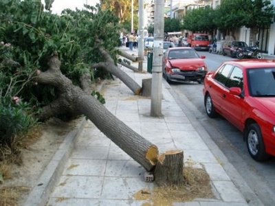 Στο «σκοτάδι» η Καλαμπάκα από κοπή δέντρου