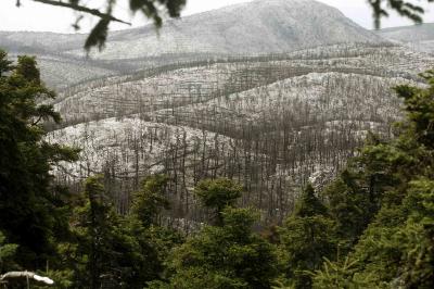 «Ανάσταση» στην Πάρνηθα