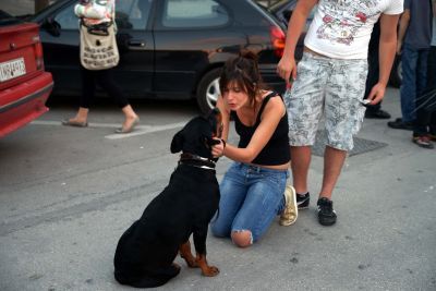 Παιχνίδι με τα μάτια από τον… σκύλο σας