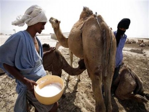 Νέα μονάδα το γάλα καμήλας