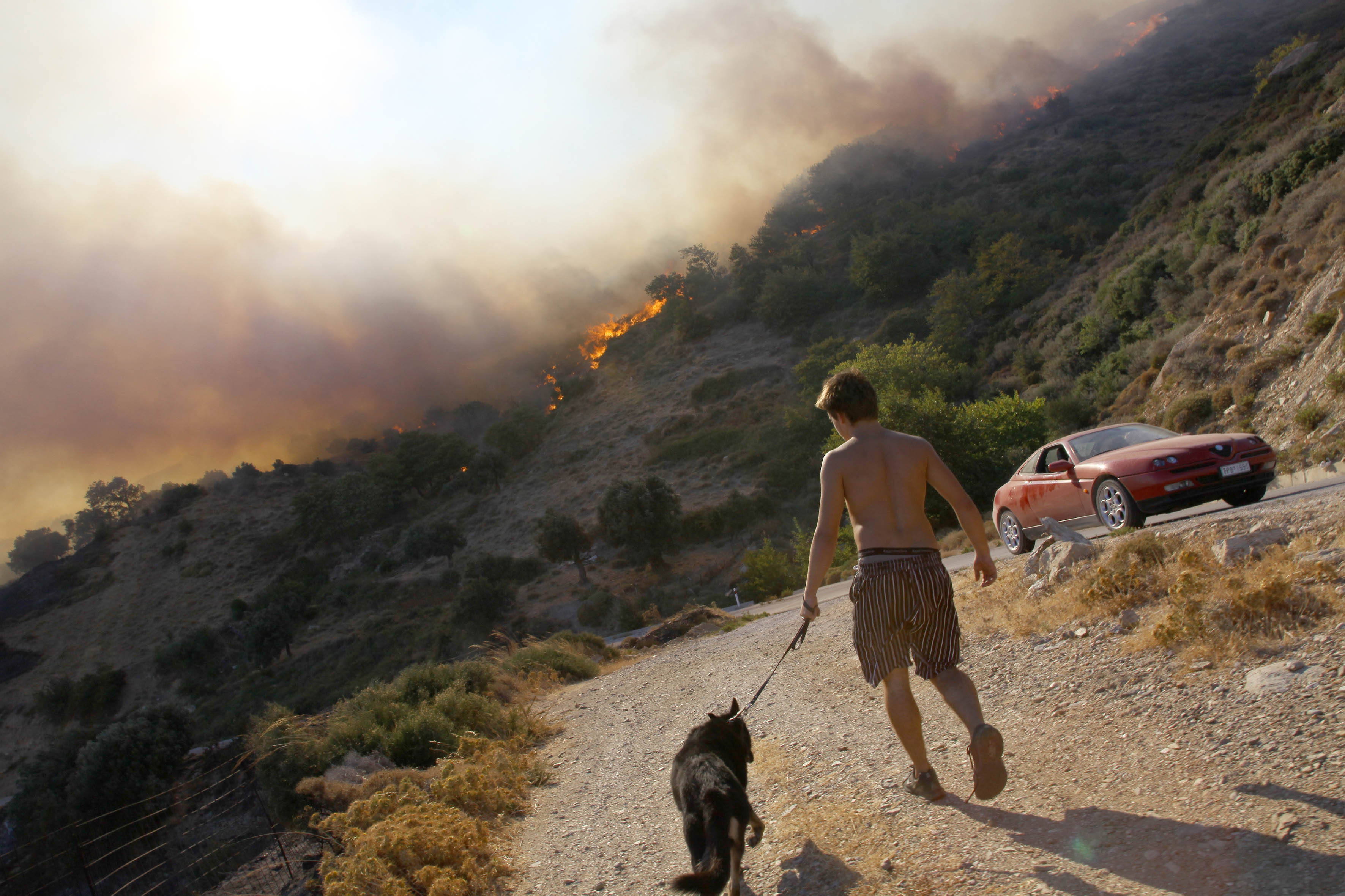 Συνελήφθη ο εμπρηστής των Βασιλικών Ευβοίας!