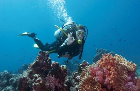 Scuba Diving: Καταδύσεις για σύγχρονους Κουστώ