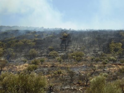 Υπό μερικό έλεγχο η πυρκαγιά στην Ιεράπετρα