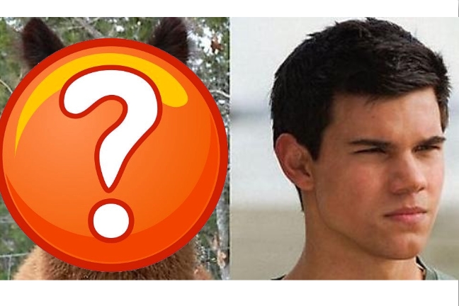 Ο σωσίας του Taylor Lautner