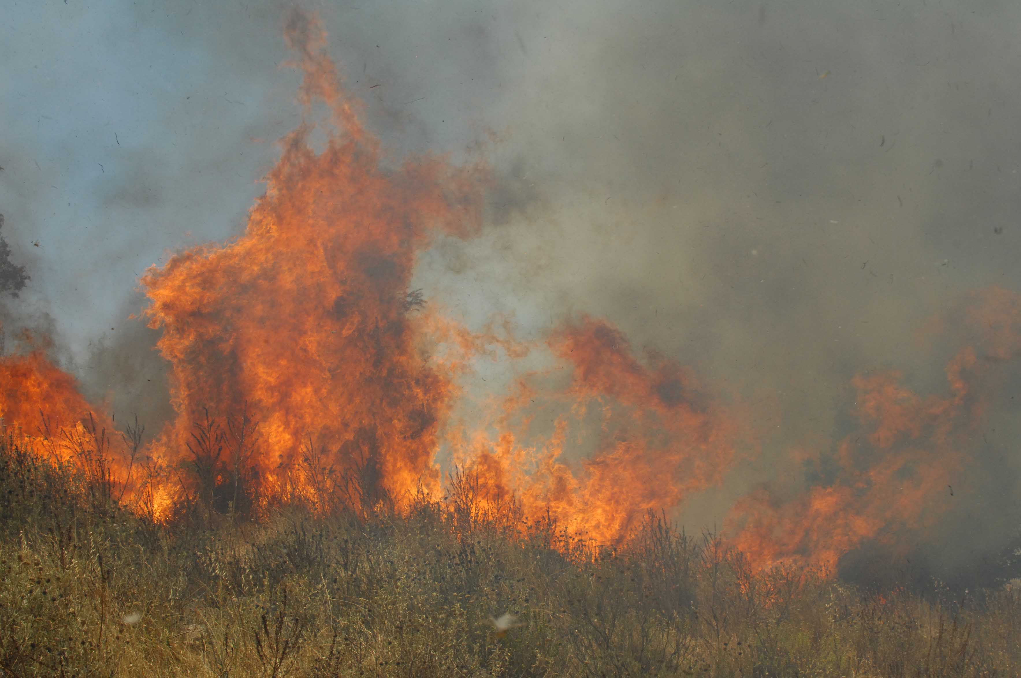 Πυρκαγιά σε δύσβατη περιοχή στη Σάμο